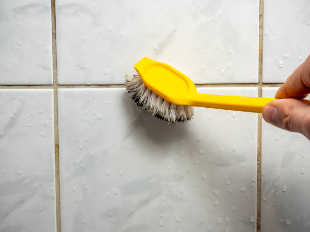 Best Certified Mold Removal  in East Providence, RI