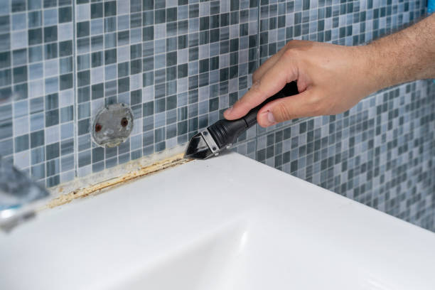 Best Best Mold Removal Companies  in East Providence, RI