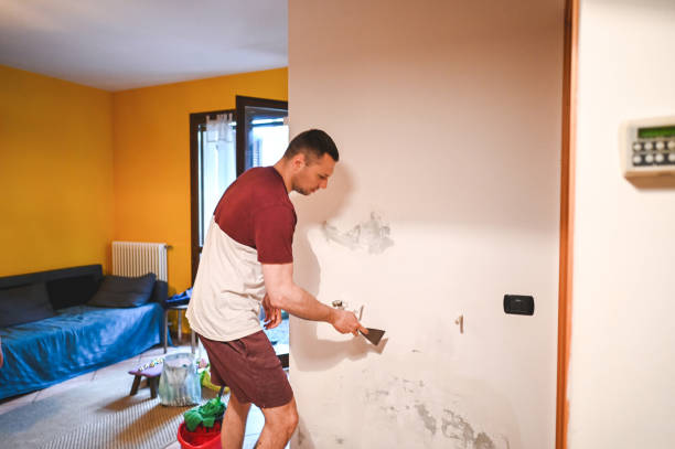 Best Mold Cleaning Services  in East Providence, RI
